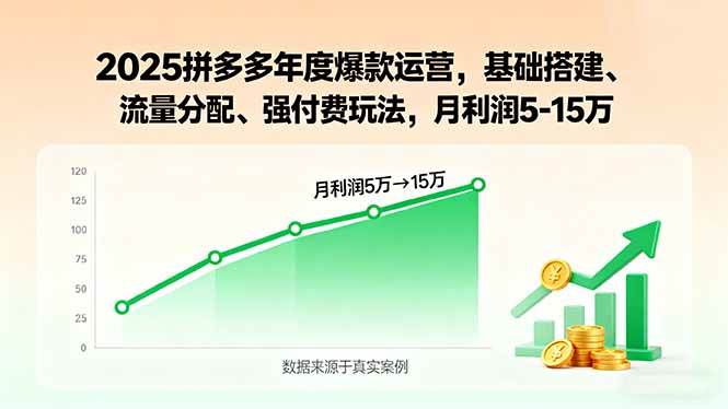 （15973期）2025拼多多年度爆款运营，基础搭建、流量分配、强付费玩法，月利润5-15万-乐品网