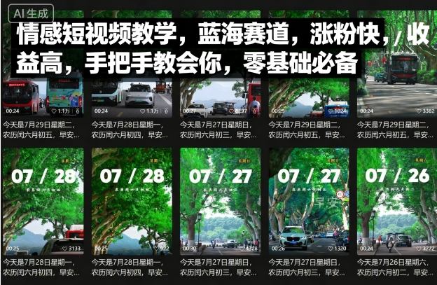 情感短视频教学，蓝海赛道，涨粉快，收益高，手把手教会你，零基础必备-乐品网