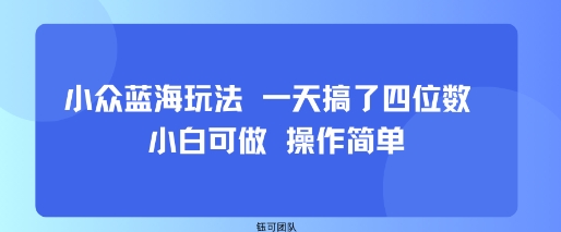 小众蓝海玩法 一天搞了四位数 小白可做 操作简单-乐品网