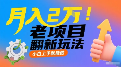 月入2W！老项目翻新玩法，小白上手就能做，非常容易上手-乐品网