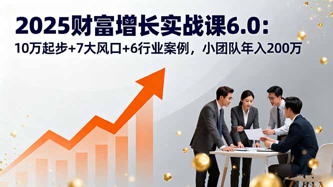 2025财富增长实战课6.0：10万起步+7大风口+6行业案例，小团队年入200万-乐品网