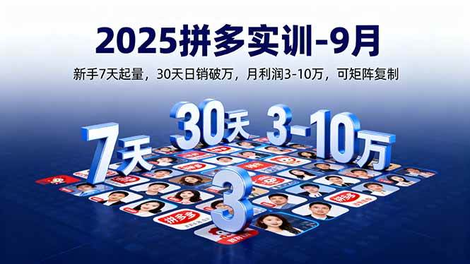 （16008期）2025拼多多实训-9月：新手7天起量,30天日销破万,月利润3-10万,可矩阵复制-乐品网