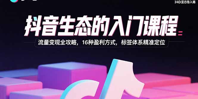 抖音生态的入门课程：流量变现全攻略，16种盈利方式，标签体系精准定位-乐品网