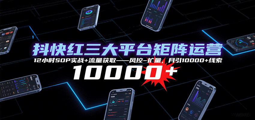 抖快红三大平台矩阵运营，12小时SOP实战+流量获取-风控-扩量，月引10000+线索-乐品网