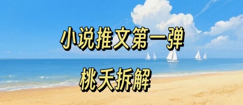 小说推文项目操作全流程第一弹，0粉就能做，门槛低非常适合新手-乐品网