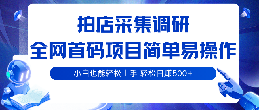拍店采集调研，全网首码项目，简单易操作， 小白也能轻松上手，轻松日赚500+-乐品网