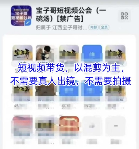 宝子哥头部团队短视频带货，以混剪为主，不需要真人出镜，不需要拍摄【更新9月】-乐品网