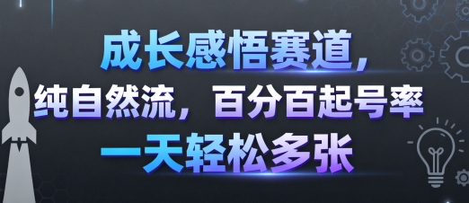 成长感悟赛道，纯自然流，百分百起号率 一天轻松多张-乐品网
