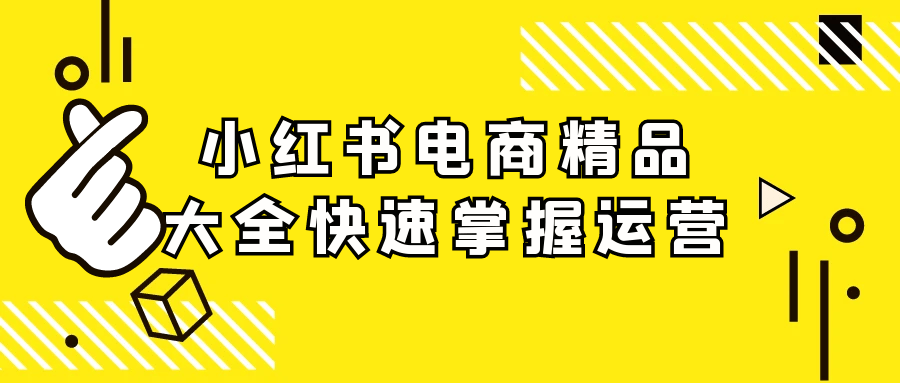 小红书电商精品大全快速掌握运营-乐品网