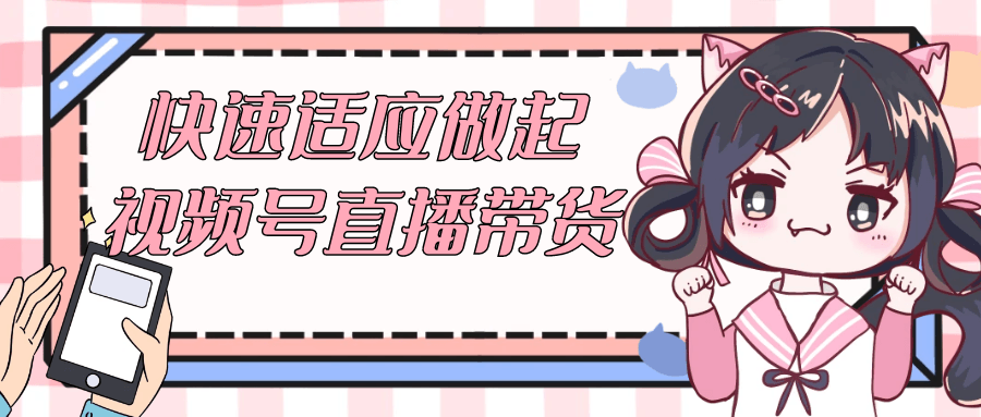 快速适应做起视频号直播带货-乐品网