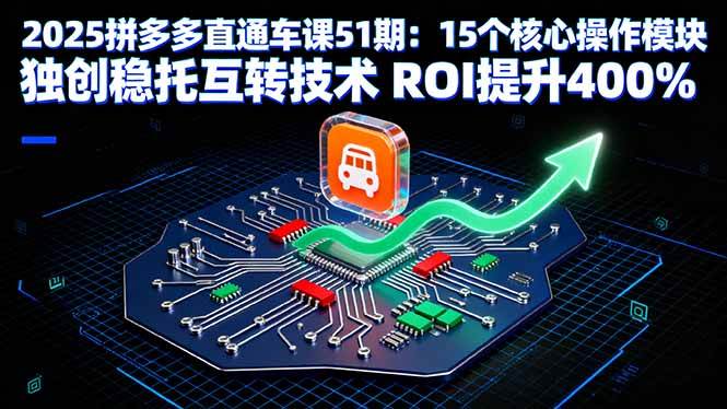 （16020期）2025拼多多直通车课51期：15个核心操作模块 独创稳托互转技术 ROI提升400%-乐品网