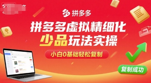 拼多多虚拟精细化少品玩法实操，小白0基础轻松复制-乐品网