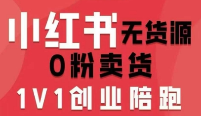 小红书无货源0粉电商课，开店准备、选品策略、笔记撰写、视频剪辑、数据分析、账号打造、资料文档-乐品网