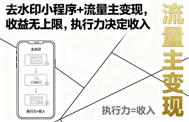 去水印小程序+流量主变现，收益无上限，执行力决定收入-乐品网