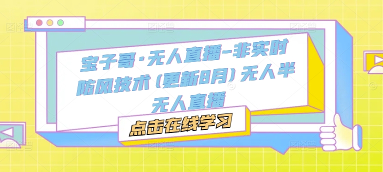 宝子哥·无人直播-非实时防风技术(更新25年8月)无人半无人直播-乐品网