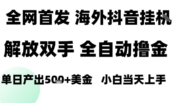 海外抖音无人直播，单日产出1.5k+，长期稳定，新手可玩，无脑操作【揭秘】-乐品网