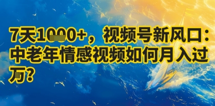 7天收益1k+，视频号新风口：中老年情感视频如何月入过W?-乐品网