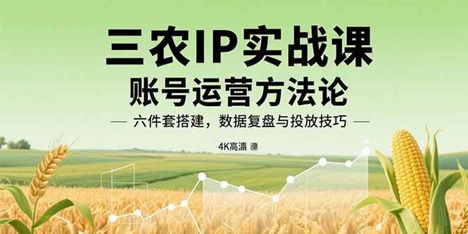 （15864期）三农IP实战课：账号运营方法论，六件套搭建，数据复盘与投放技巧-乐品网