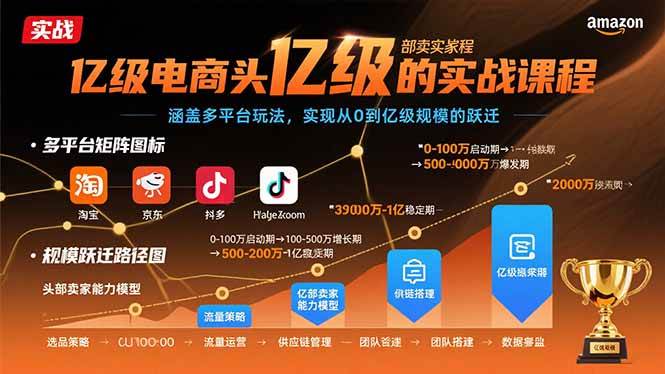 （15803期）亿级电商头部卖家的实战课程：涵盖多平台玩法，实现从0到亿级规模的跃迁-乐品网