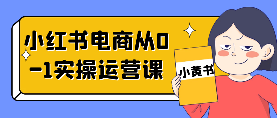 小红书电商从0-1实操运营课-乐品网