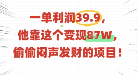 一单利润39.9，有人靠这个变现几十个，偷偷闷声发财的项目-乐品网
