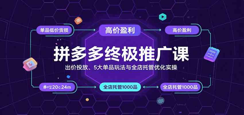 拼多多终极推广课：出价投放、5大单品玩法与全店托管优化实操-乐品网