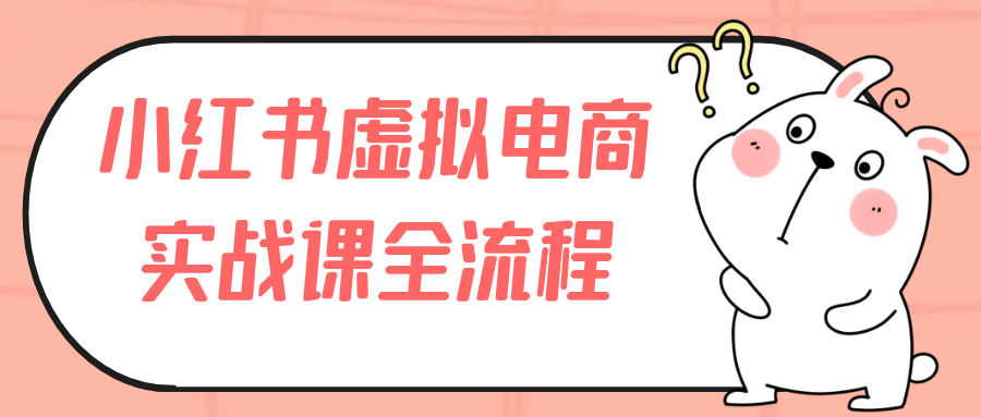 小红书虚拟电商实战课全流程-乐品网