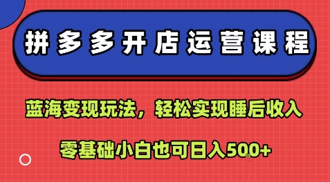 拼多多开店运营课程：蓝海变现玩法，轻松实现睡后收入，零基础小白也可日入5张-乐品网