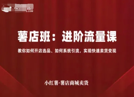 小红薯薯店商城卖货，进阶流量课，教你如何开店选品、如何系统引流，实现快速卖货变现-乐品网