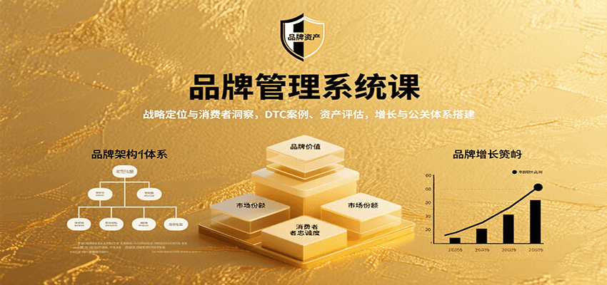 品牌管理系统课：战略定位与消费者洞察，DTC案例、资产评估，增长与公关体系搭建-乐品网
