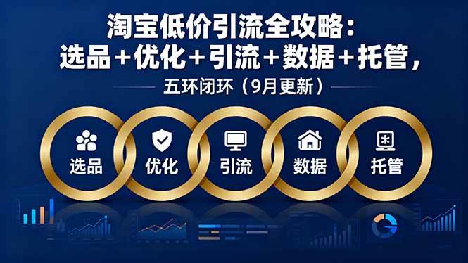 （16009期）淘宝低价引流全攻略：选品＋优化＋引流＋数据＋托管，五环闭环（9月更新）-乐品网