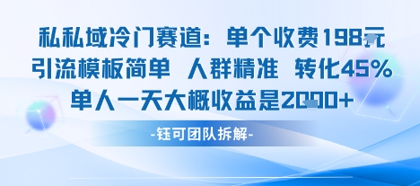 私域冷门赛道单个收费198米引流模板简单人群精准 45%的转化率单人一天大概收益多张-乐品网