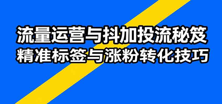流量运营与抖加投流秘笈，含算法解析、爆款打造、精准标签与涨粉转化技巧-乐品网