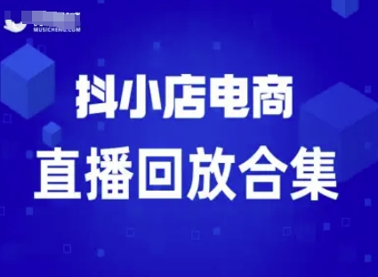 短视频电商：抖小店变现从0到盈利过直播回放-乐品网