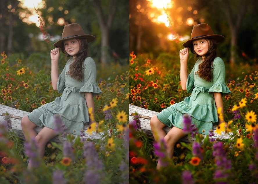 （17403期）大师级GTG出品-老友记系列AI自适应预设The Friends Preset Collection-乐品网