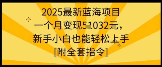 2025最新蓝海项目一个月变现1w+新手小白也能轻松上手【附全套指令】-乐品网