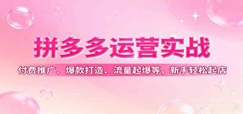 拼多多运营实战，付费推广、爆款打造、流量起爆等，新手轻松起店-乐品网