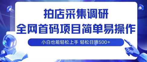 拍店采集调研，全网首码项目，简单易操作， 小白也能轻松上手，多账号操作，轻松日入5张【揭秘】-乐品网