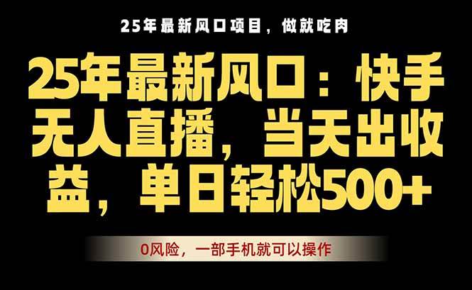 （16007期）25年最新无人直播玩法，当天秒出单，一部手机就可操作-乐品网
