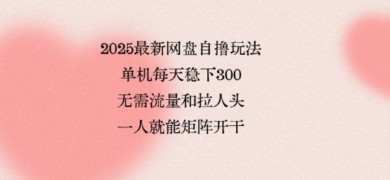 2025最新网盘自撸玩法，单机每天稳下3张，无需流量和拉人头，一个人就可轻松矩阵，全网独一份【揭秘】-乐品网