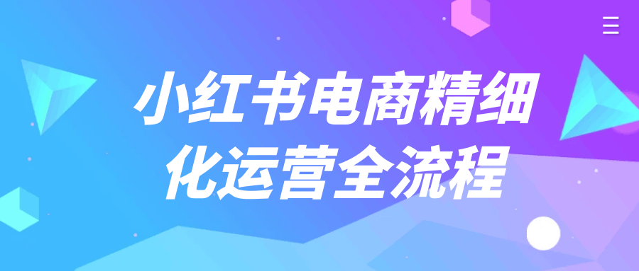 小红书电商精细化运营全流程-乐品网
