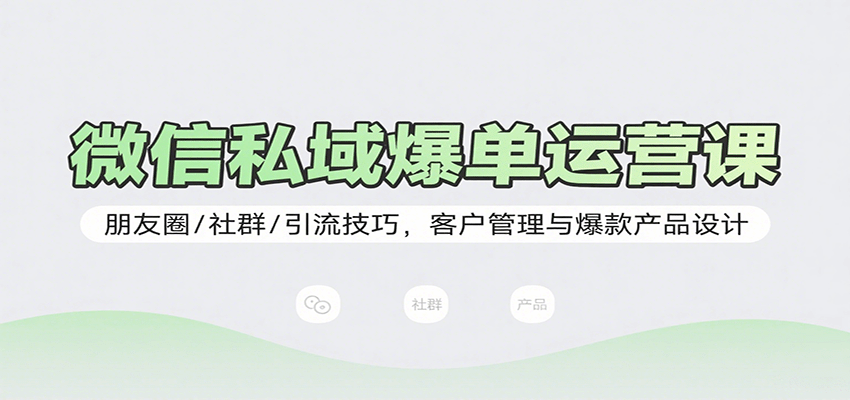 微信私域爆单运营课：朋友圈/社群/引流技巧，客户管理与爆款产品设计-乐品网