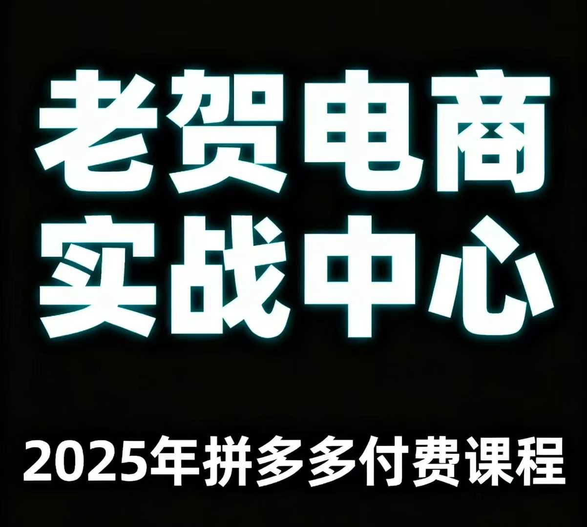 老贺电商2025年拼多多付费课程，用通俗易懂的方法告诉你多多怎么玩-乐品网
