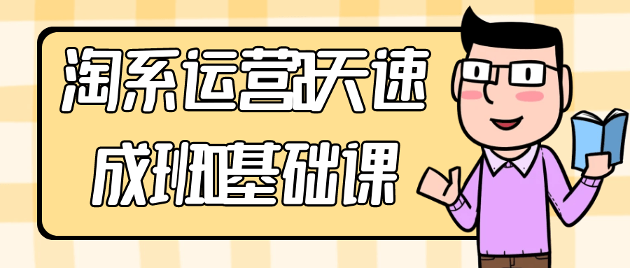 淘系运营21天速成班0基础课-乐品网