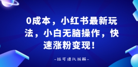 0成本，小红书最新玩法，小白无脑操作，快速涨粉变现-乐品网