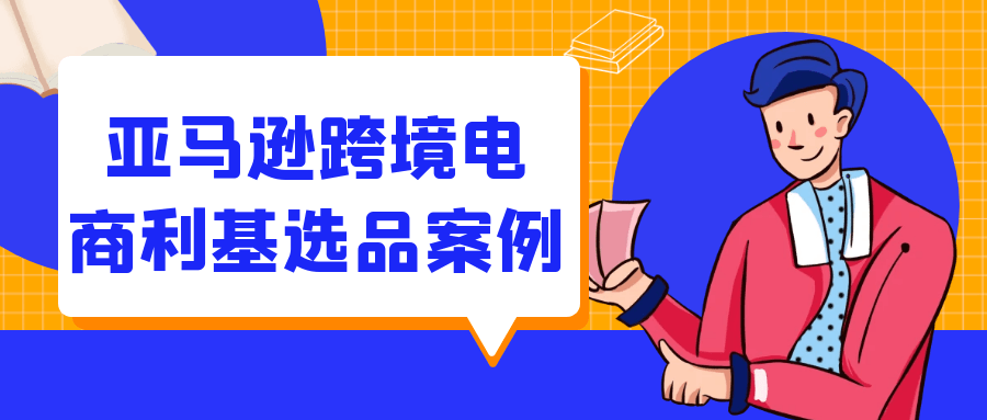 亚马逊跨境电商利基选品案例-乐品网