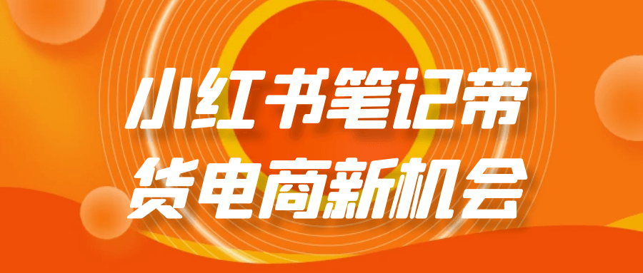 小红书笔记带货电商新机会-乐品网