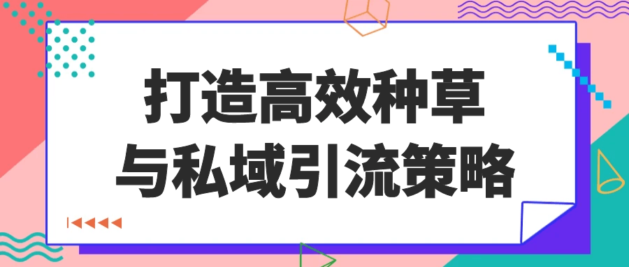 打造高效种草与私域引流策略-乐品网