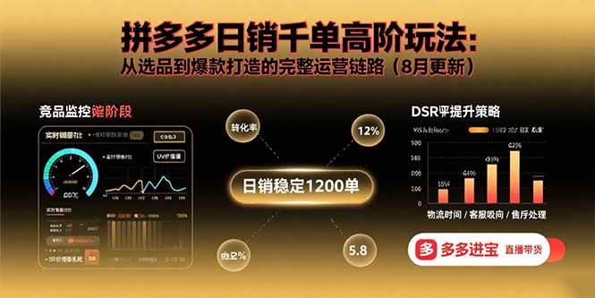 （15850期）拼多多日销千单高阶玩法：从选品到爆款打造的完整运营链路（8月更新）-乐品网